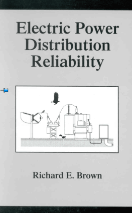 Electric Power Distribution Reliability Richard E. Brown