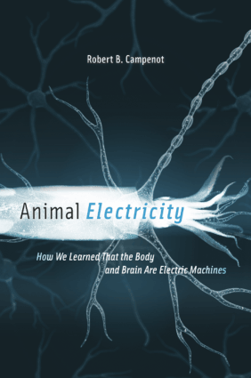 Animal Electricity How We Learned That the Body and Brain Are Electric Machines